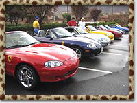 Miatas parked during Surf'N'Safari '04 (Photo by Mark Booth)